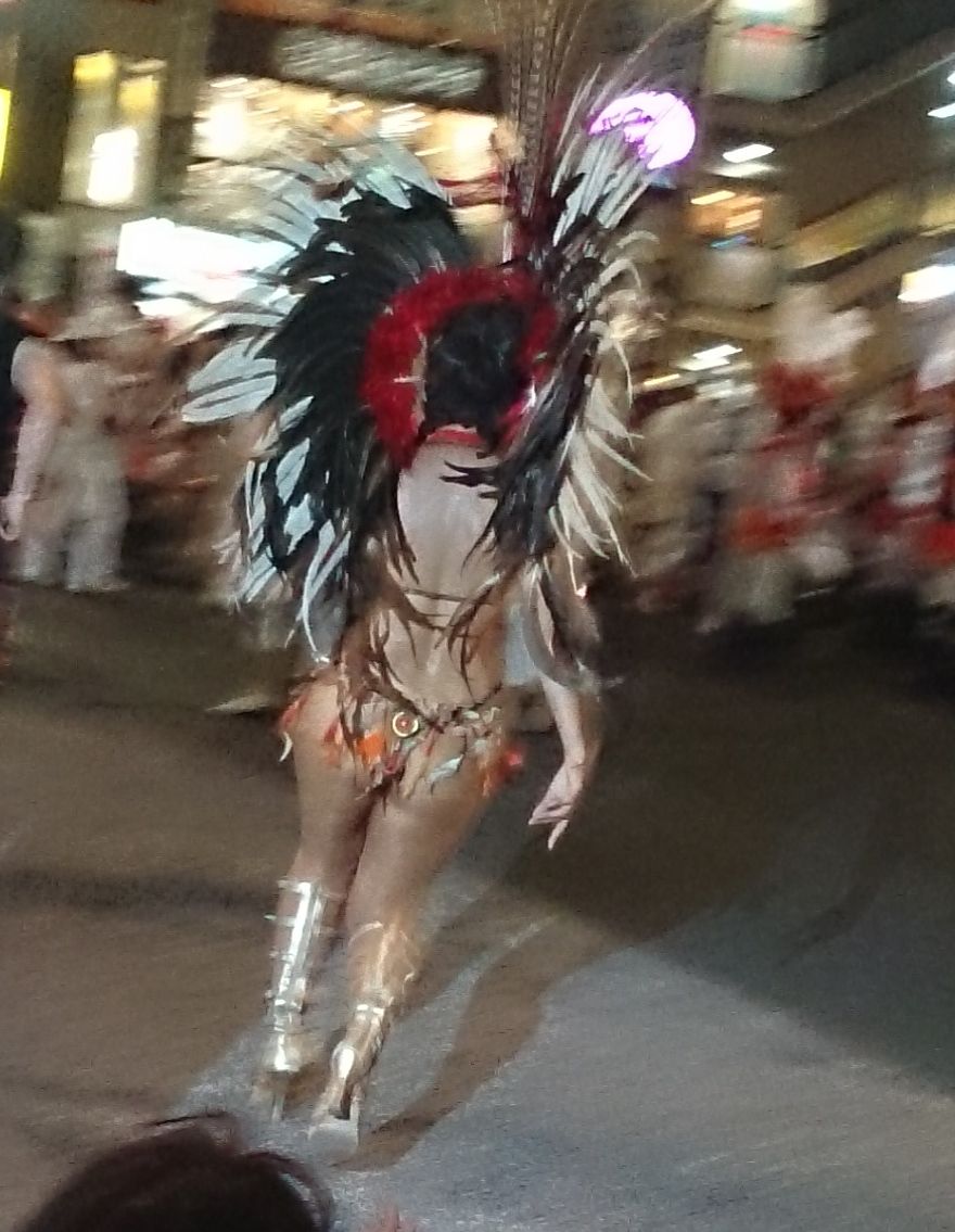花小金井サンバ祭り みばのうたたね日記
