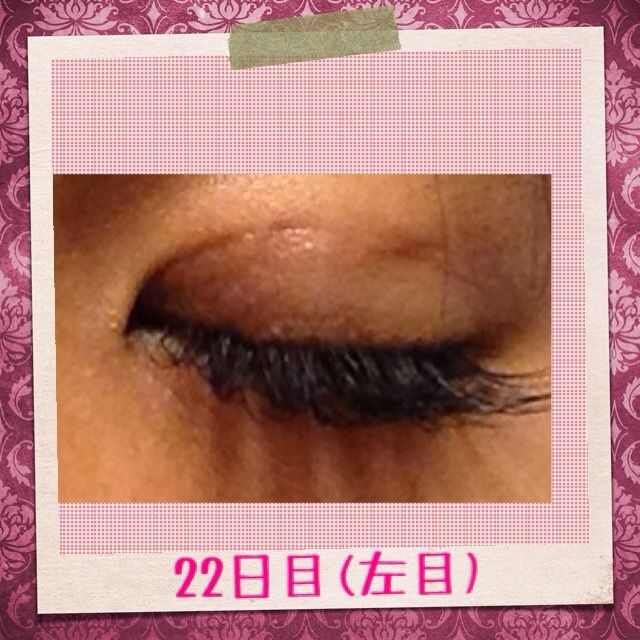 アブストラクト ジョットディボンドン 避けられない マツエク コンタクト Incontrolgroup Net