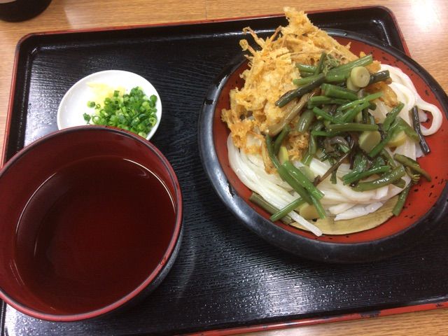 うどん四国大名 金町 43年もやってたの アイアン グルメイデン うどん四国大名 金町 43年もやってたの アイアン グルメイデン