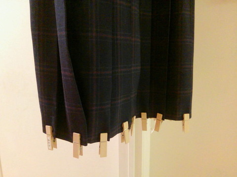 プリーツスカートのアイロン掛け ひだは洗濯干す前にクリップで留めると綺麗 ラク 転勤家庭のこんな暮らし