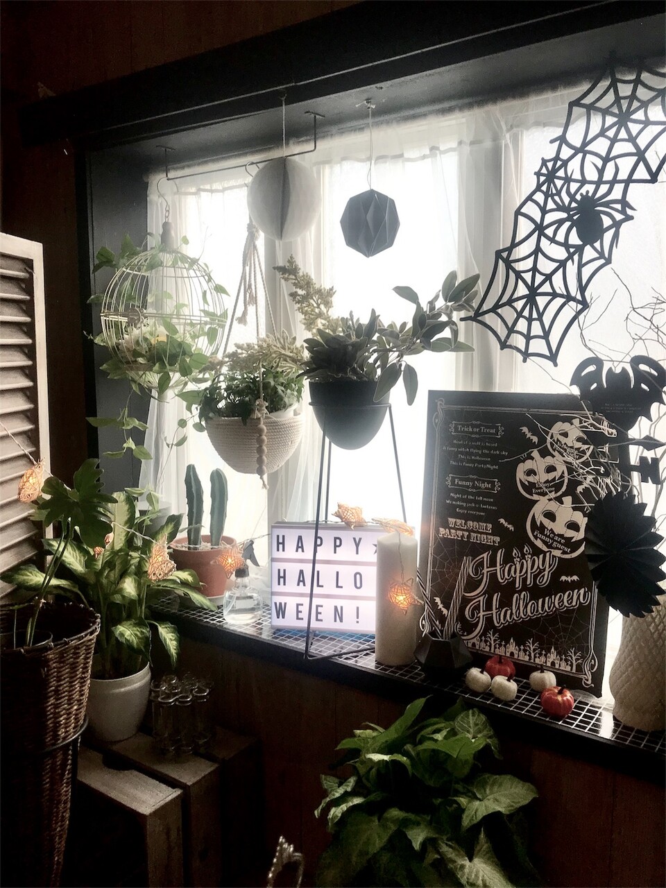 f:id:maiikkoo:20180913215941j:image f:id:maiikkoo:20180913215941j:image