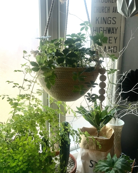 グリーンのある暮らし　観葉植物　フェイクグリーン　ニトリ