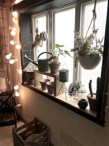 賃貸DIY　賃貸インテリア　観葉植物　インダストリアルインテリア