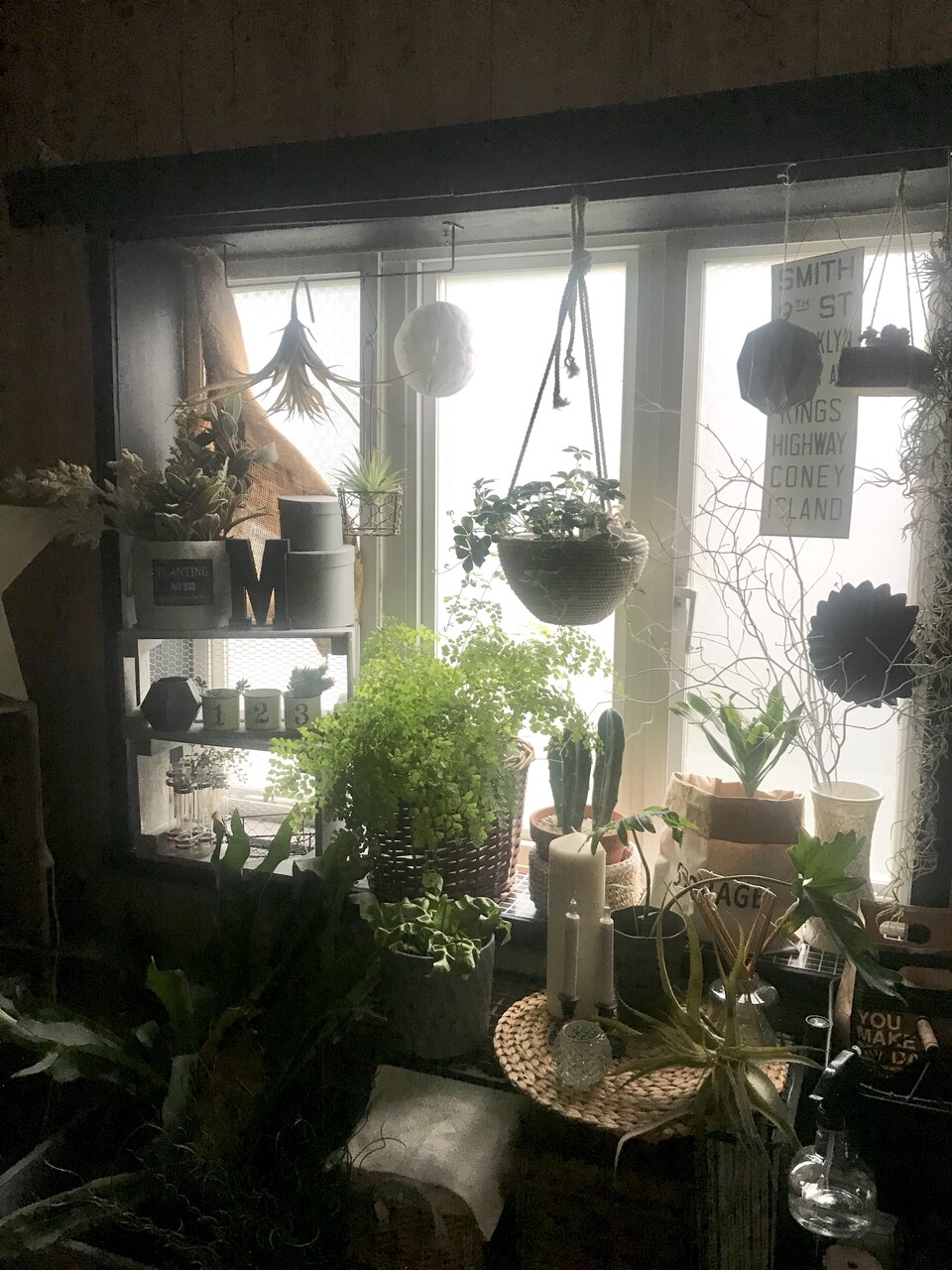 グリーンのある暮らし　観葉植物　フェイクグリーン　ニトリ