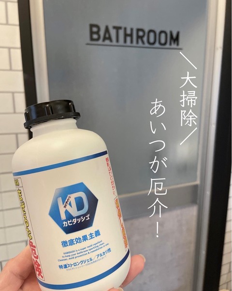 【大掃除】髪の毛も溶かす！？カビ取り剤の最終兵器カビダッシュはズボラ＆寒がりにおすすめです。