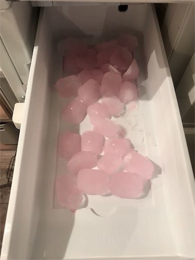 冷蔵庫掃除　ダイソー　氷クリーン　製氷機掃除
