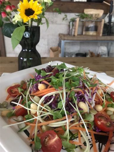 ののじ　ヌードルピーラー　インスタ映えサラダ　便利グッズ