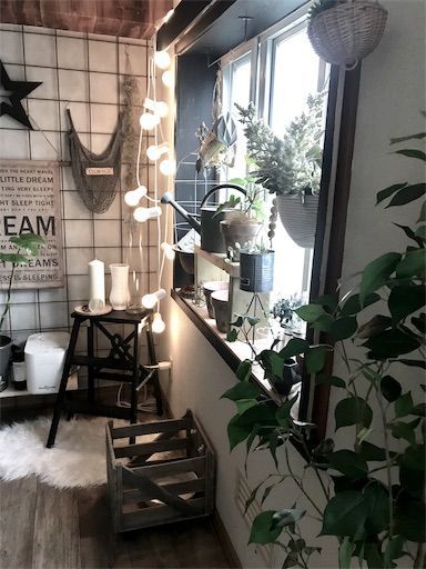 賃貸DIY　賃貸インテリア　観葉植物　インダストリアルインテリア