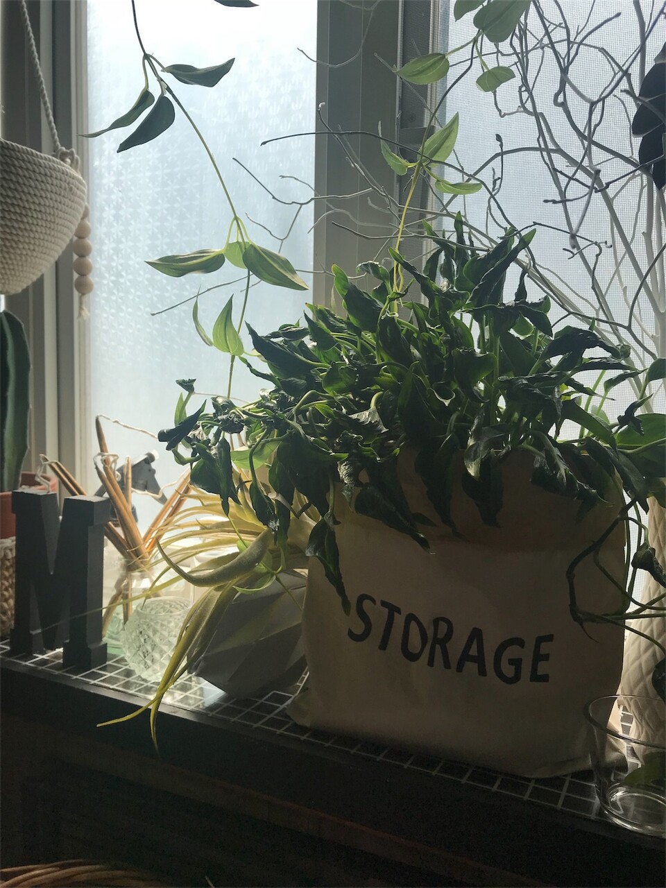 f:id:maiikkoo:20180911212622j:image f:id:maiikkoo:20180911212622j:image