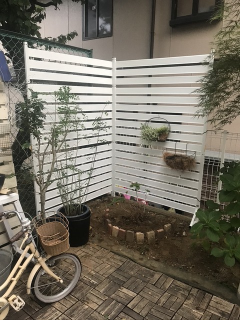 38ACE5B2-C128-475A-9453-F322AB0650AA_1_105_c