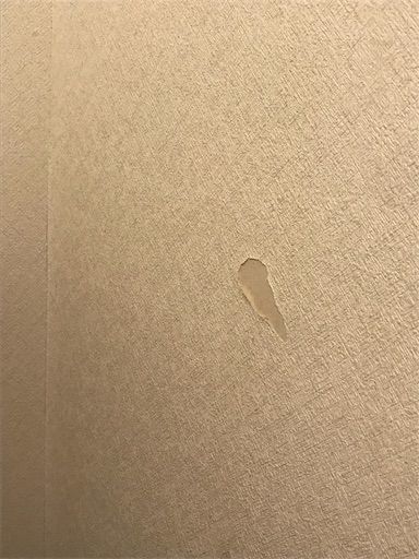 トイレ　トイレDIY　賃貸トイレ　原状回復　トイレ壁紙