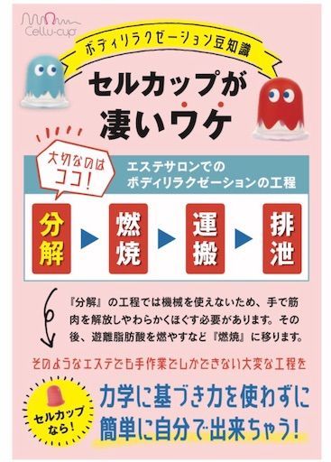 f:id:maiikkoo:20190331213840j:image