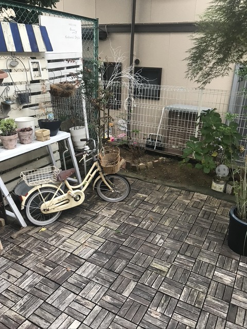 67FDE20A-3789-4D67-A473-C7ABBDA87883_1_105_c