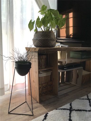 テレビ台　DIY　TV　りんご箱