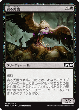 MTG 黒　むさぼるはげたか