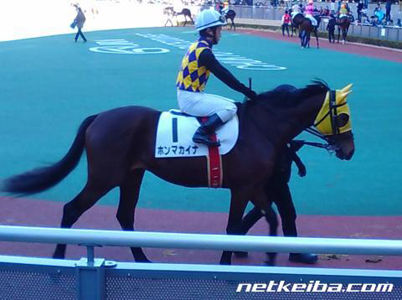 ギャンブる 面白い名前の競走馬ランキング 1位 モグモグパクパク 2位 ホンマカイナ ギャンブる 面白い名前の競走馬ランキング 1位 モグモグパクパク 2位 ホンマカイナ