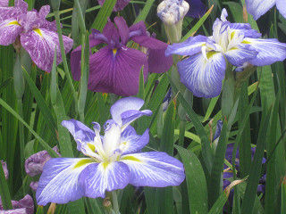 resize0205