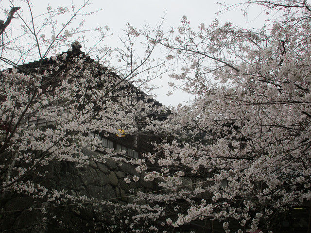resize0055