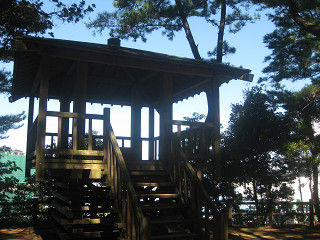 resize0354