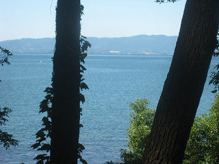 resize0355