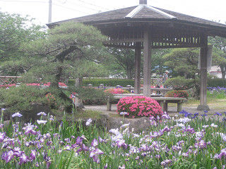 resize0199