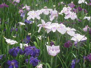 resize0206