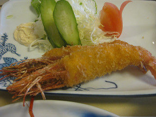 resize0243