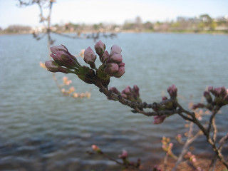 resize0290