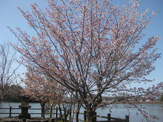 resize0289