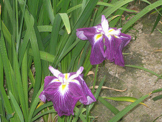 resize0202