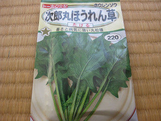 resize0336