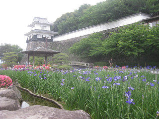 resize0207