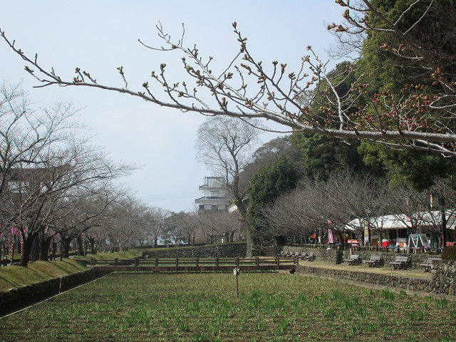 resize0044