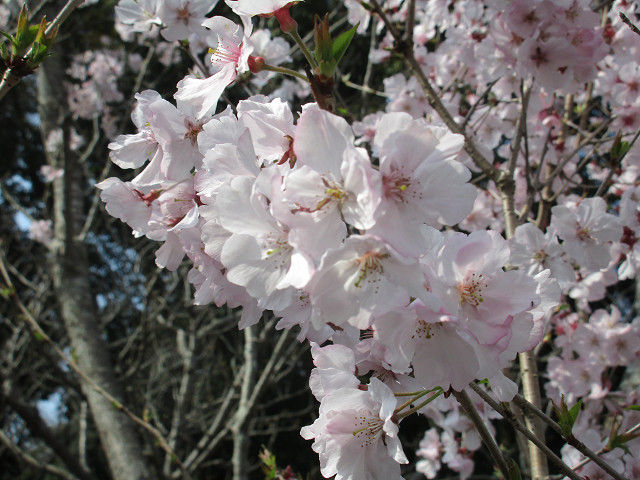 resize0048