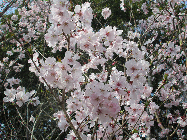 resize0047