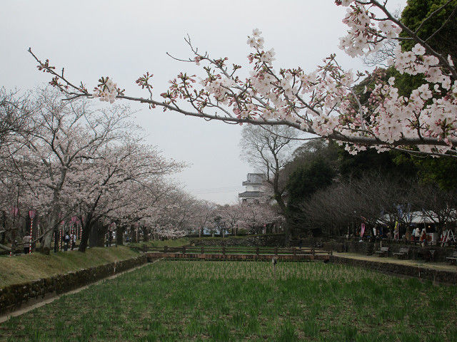 resize0058