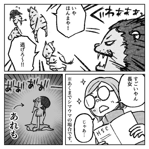 41_6