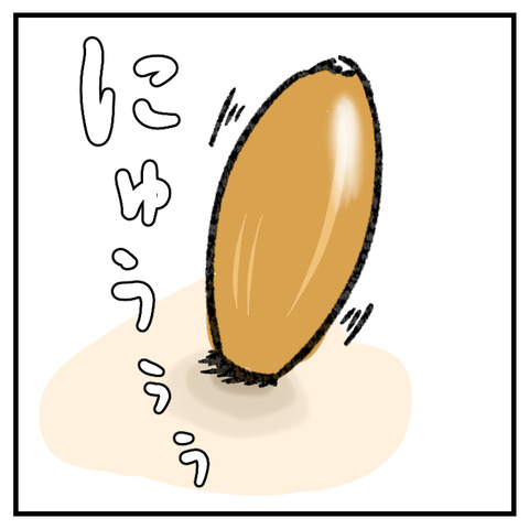 稗粒腫(はいりゅうしゅ)_005