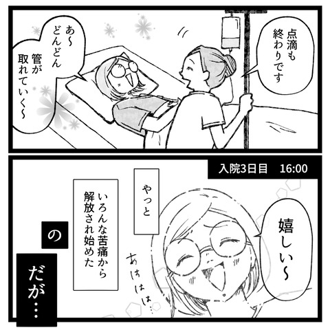 もう逃げない卵巣嚢腫手術、4泊5日の旅(9)_出力_008