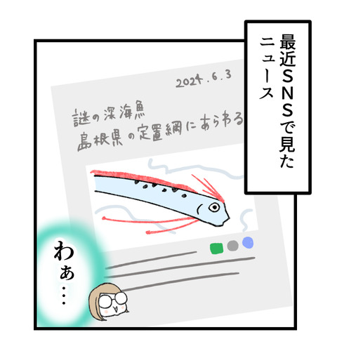 リュウグウノツカイ_002