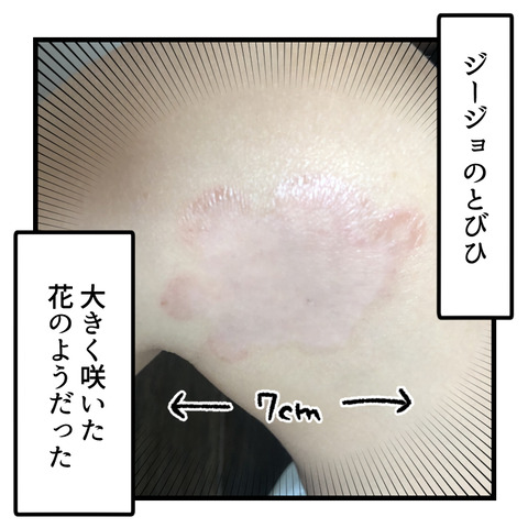 どあほう漫画_テンプレ_出力_002