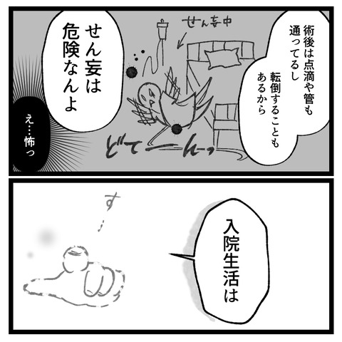 もう逃げない卵巣嚢腫手術、4泊5日の旅(2)_007