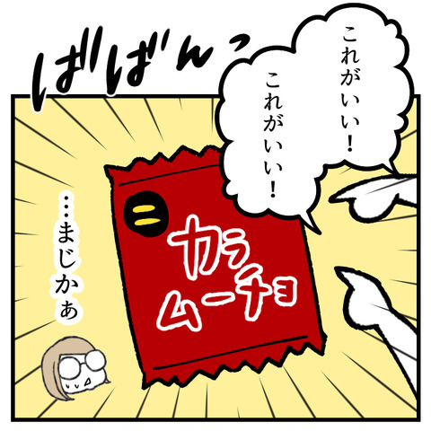 初めてのカラムーチョ_出力_004