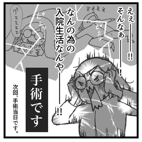 もう逃げない卵巣嚢腫手術、4泊5日の旅(2)_009