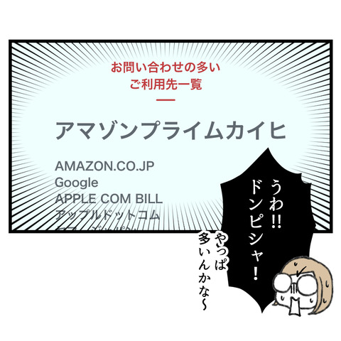 クレカ不正利用(3)_出力_006