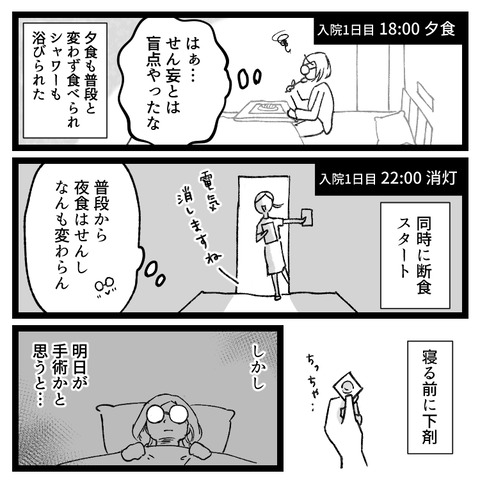 もう逃げない卵巣嚢腫手術、4泊5日の旅(3)_出力_002