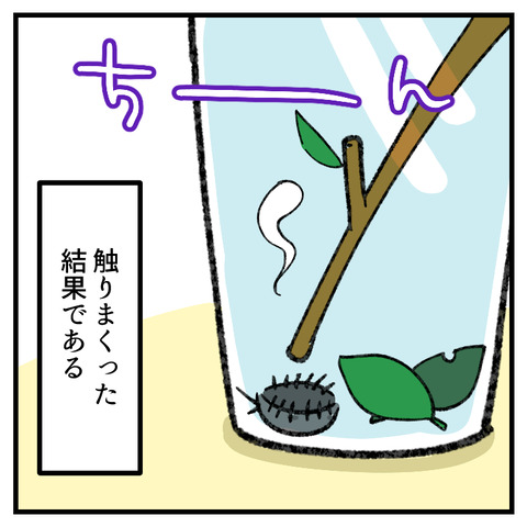 チョーヂョと虫_出力_005