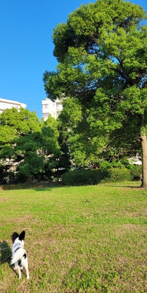 9141EB9A-41AD-4A87-87D2-4B073356CD26