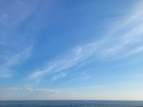 Unknown-1