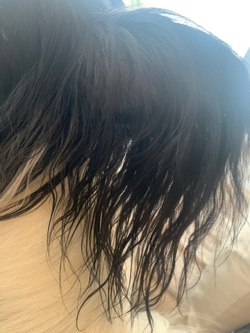 image4[1]